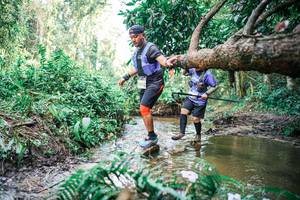 BIB: 
                            <button type="button" onclick="openModal(25518006)" class="btn btn-primary btn-sm float-right btn-popup" data-toggle="modal" data-target=".modal-high-quality">
                        <i class="fas fa-shopping-cart"></i> Add to Cart
                    </button>
                                            <button type="button" onclick="isThisMe(25518006, true)" class="btn btn-success btn-sm float-right btn-popup btn-isme hidden" data-toggle="tooltip" data-placement="bottom" title="นี่คือรูปของคุณใช่ไหม คลิกที่นี่เพื่อเอาเข้าอัลบั้ม">
                        <i class="fas fa-plus"></i> Add to album
                    </button>
                    <button type="button" onclick="isThisMe(25518006, false)" class="btn btn-warning btn-sm float-right btn-popup btn-isnotme hidden">
                        <i class="fas fa-ban"></i> Remove from album
                    </button>